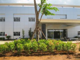 Công trình Tượng Hưu - Đà Nẵng